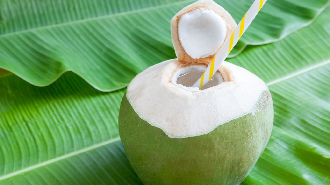 ES Kelapa Muda